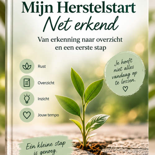 Mijn Herstelstart – Net erkend