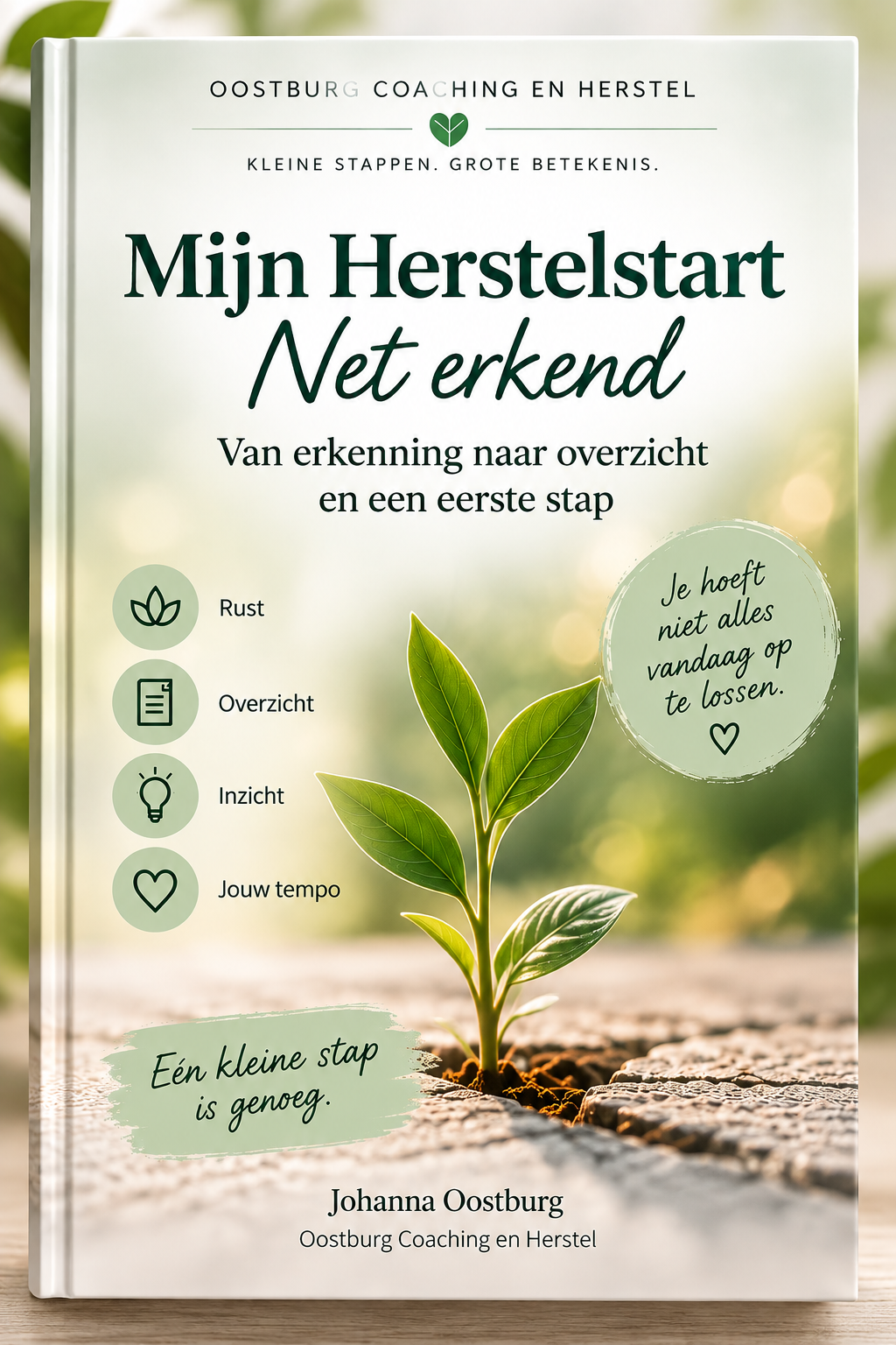 Mijn Herstelstart – Net erkend